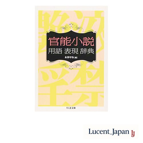 Kanno Shōsetsu Yōgo Hyōgen Jiten